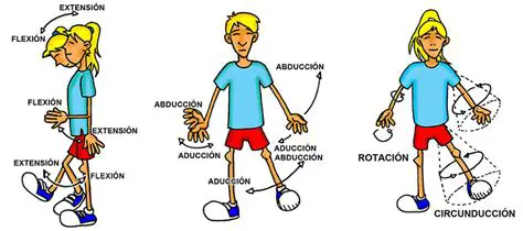 Preguntas y Respuestas sobre el Movimiento de un Cuerpo