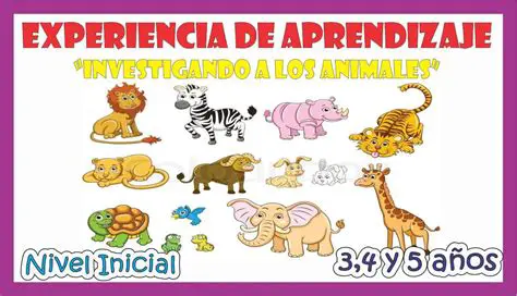 Preguntas y respuestas sobre el problema de los animales en el corral