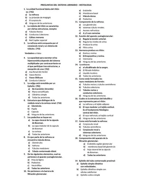 Preguntas y Respuestas sobre el Sistema Urinario