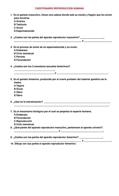 Preguntas y Respuestas sobre la Cometa Perfecta