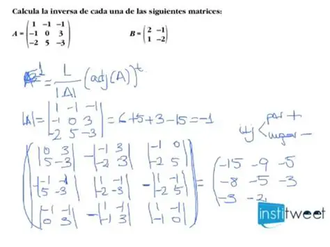 Preguntas y respuestas sobre la inversa de matrices