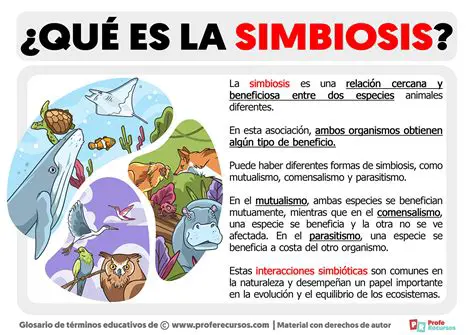 Preguntas y Respuestas sobre la Simbiosis