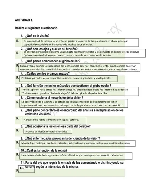 Preguntas y respuestas sobre legislaturas unicamerales