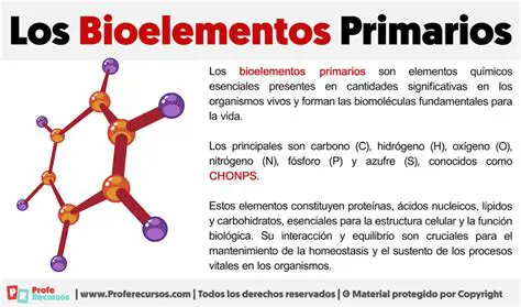 Preguntas y respuestas sobre los bioelementos primarios