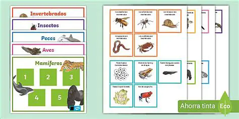 Preguntas y Respuestas sobre los Grupos de Animales Vertebrados