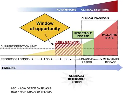 Preliminary Network Diagnosis Window