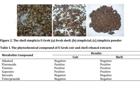 Preparation of Simplicia Powder