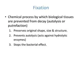 Preserves original structure and content