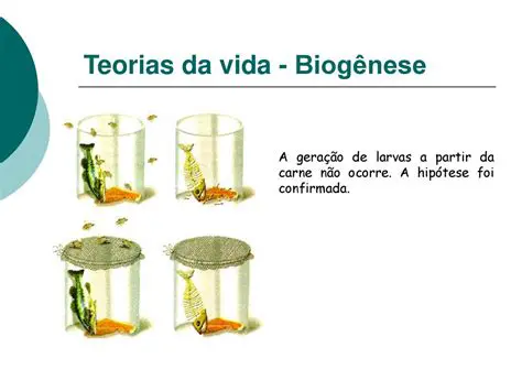 Principais Pontos da Biogenese