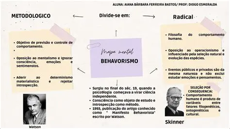Principais Teorias do Behaviorismo
