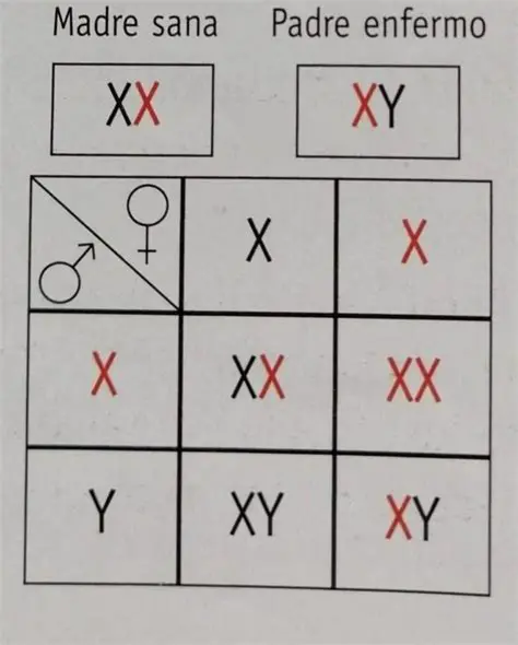 Probabilidad de que la pareja tenga hijas