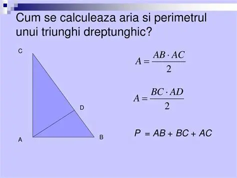 Problema Perimetrului Dreptunghiului