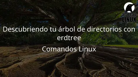 Problemas comunes con los permisos de directorios en Laravel