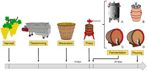 Processing and Fermentation