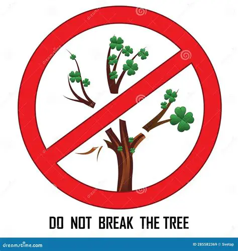 Prohibition on cutting down trees in protected forests