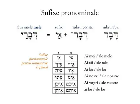 Pronumele demonstrative cu sufixe