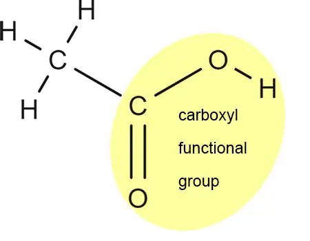 Properties of Carboxyl Groups
