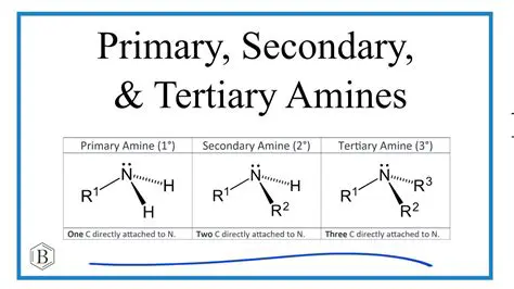 Properties of Secondary Amines