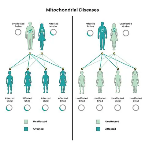 Property and wealth are passed down through the maternal line