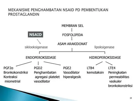 Proses Penghambatan Prostaglandin