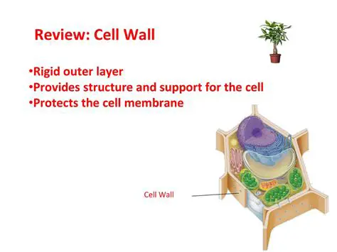 Protection against mechanical stress