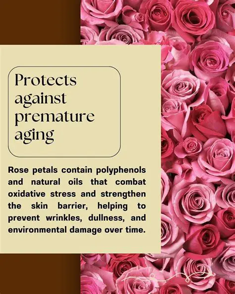 Protects against premature aging