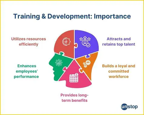 Provide training and development opportunities for employees