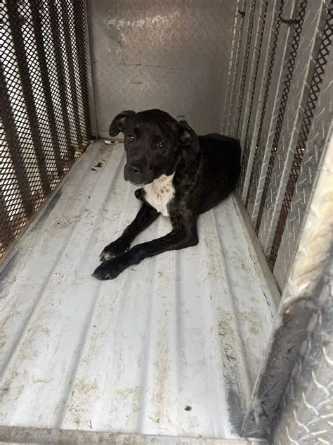 Providing Proof of Ownership