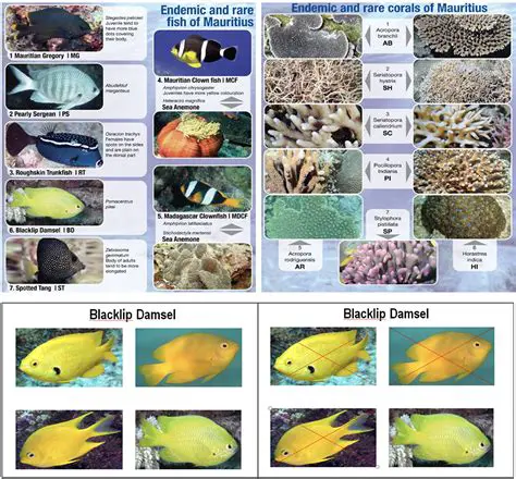 Pseudoscarse: Unveiling the Mysteries of a Rare and Endemic Fish