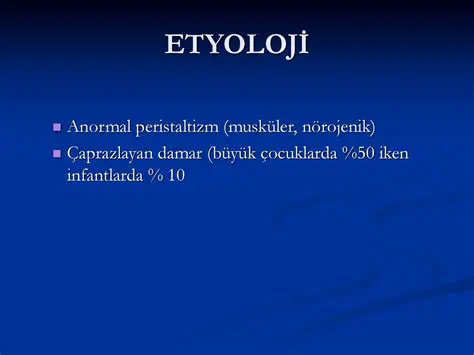 Puan Kasma Stratejisinin Nedenleri