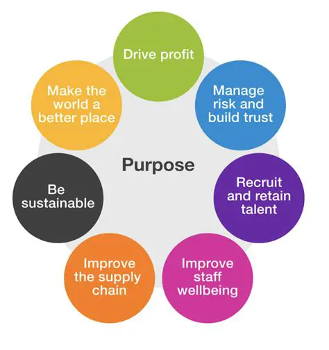 Purpose and Benefits of Medan Rumah Application