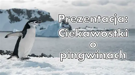 Pytania i Odpowiedzi o Pingwinach