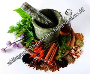 Ramuan Obat untuk Mengobati Demam