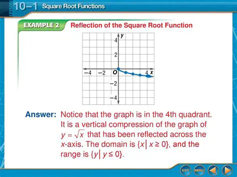 Range of the Reflected Function