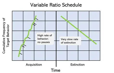 Rate Schedule Graphs and Summaries