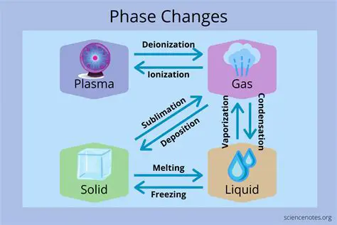 Reactions and Phase Changes