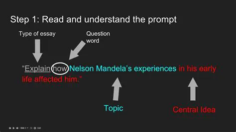 Read and understand the prompt