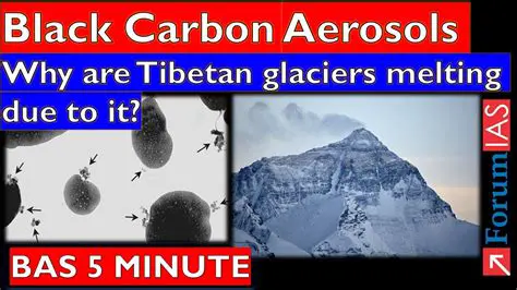 Reasons for Black Carbon Accumulation on Glaciers