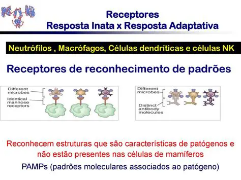 Receptores no Reconhecimento de Pamps