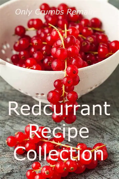 Redcurrant Recipes: Exploring the Zesty Flavors of LMZH Johannisbeere
