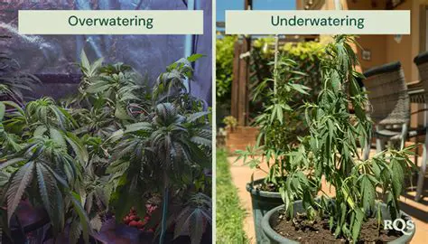 Reduced Risk of Overwatering or Underwatering