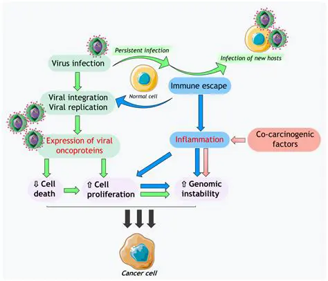 Reduced Risk of Virus Infection