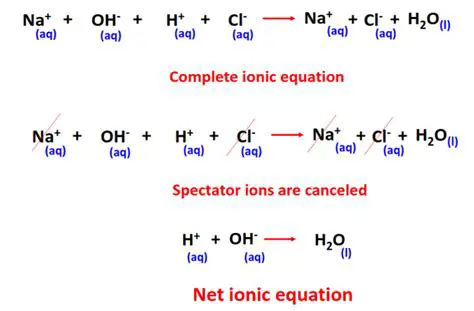 Reducing the Equation to a Net Ionic Equation