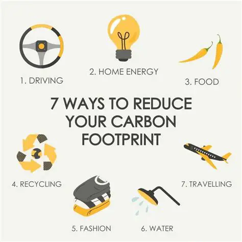 Reducing your carbon footprint
