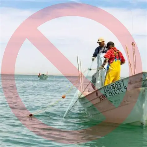 Reducir la caza y la pesca