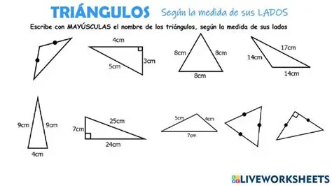 Registando las Medidas de los Lados