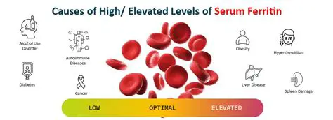 Regular monitoring of serum ferritin levels