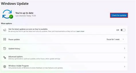 Regularly check for updates