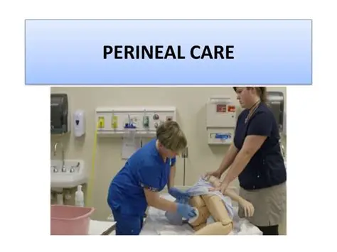 Regularly clean and dress the perineal area