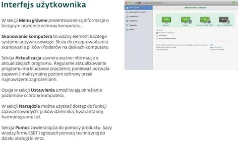 Regularne aktualizowanie programu